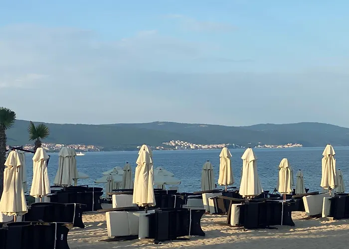 Grand Kamelia B 2,8 Large Sunny *