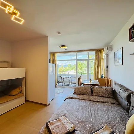 Grand Kamelia B 2,8 Large Sunny