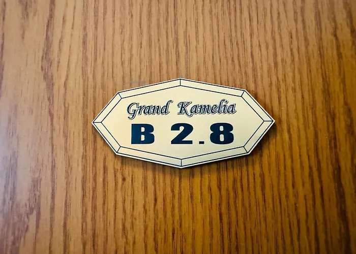 Grand Kamelia B 2,8 Large Sunny *